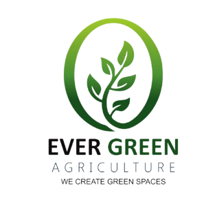 Evergreen Agriculture